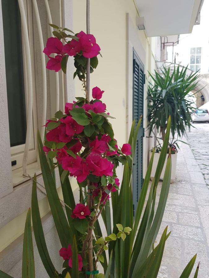 Bed and Breakfast Arco Gentile Bitonto Zewnętrze zdjęcie